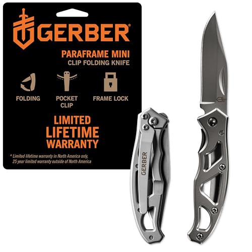Gerber Gear Paraframe Mini Pocket Knife, 2.2" Fine Edge Small EDC Folding Knife with Safety Lock for Everyday Carry, Gifts for Men, Stainless Steel | Amazon (US)