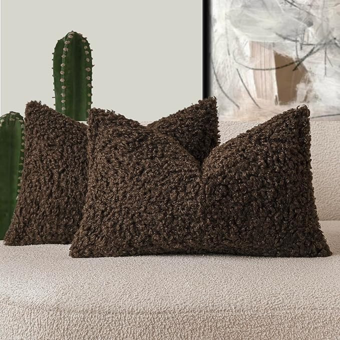 Foindtower Set of 2 Curly Teddy Wool Pillow Covers Decorative Boucle Textured Lumbar Throw Pillow... | Amazon (US)