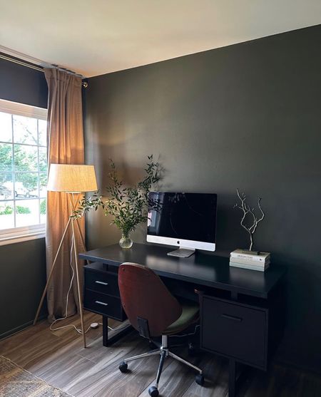 The other half of the guest room/ office! I added a simple black desk and unique office chair. I love the floor lamp for additional light 😊

#LTKunder50 #LTKhome #LTKunder100