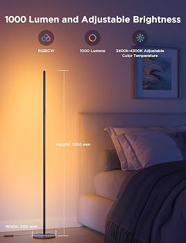 Govee RGBIC Floor Lamp, LED Corner Lamp Works with Alexa, 1000 Lumen Smart Modern Floor Lamp with... | Amazon (US)