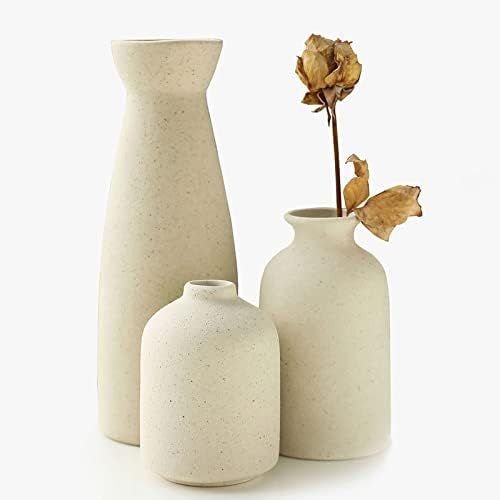 KIOXOHO Boho Ceramic vase Set-3 Small Flower vases,Modern Rustic Farmhouse,Decorative vase for Pa... | Amazon (US)