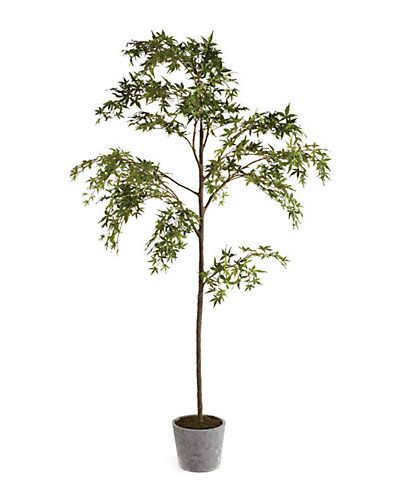 7ft Maple Tree Potted | Gilt
