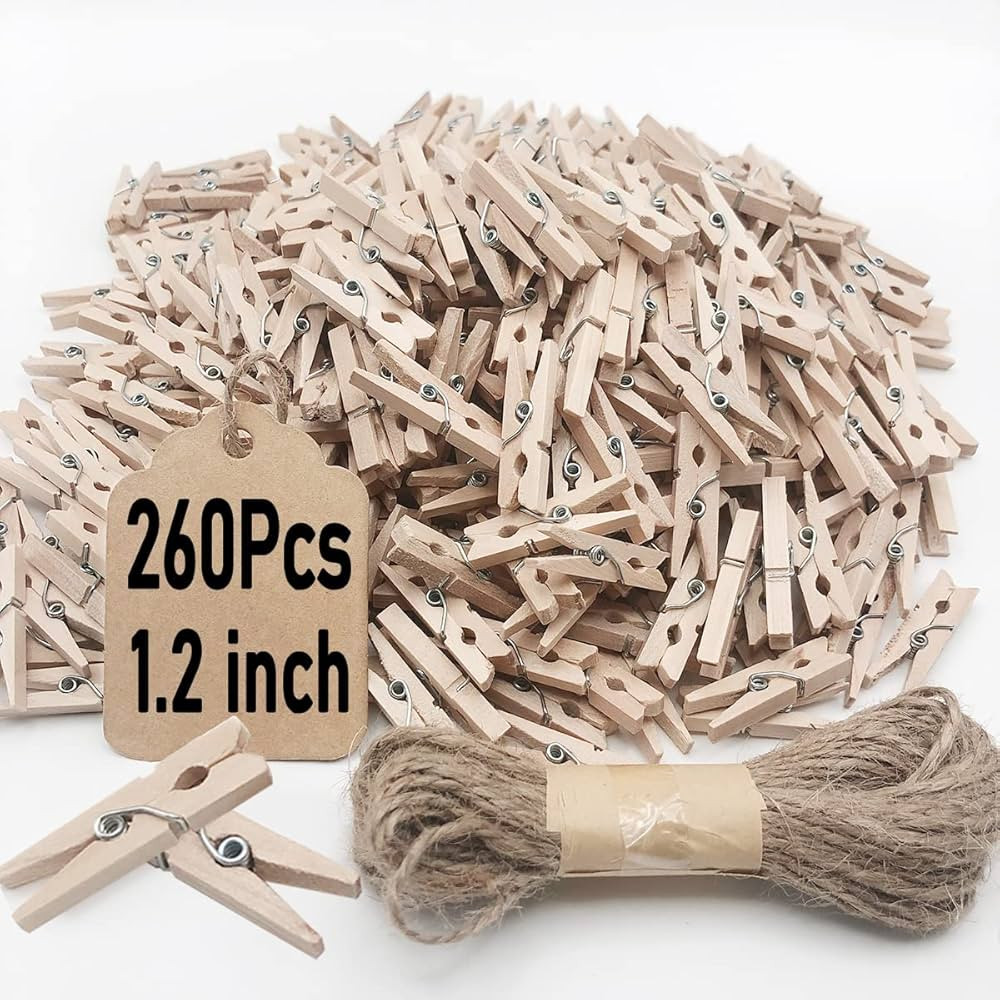 Mini Clothes Pins, 260 PCS Small Wooden Clothes Pin with Jute Twine, Clothespins, Clothes Pins fo... | Amazon (US)