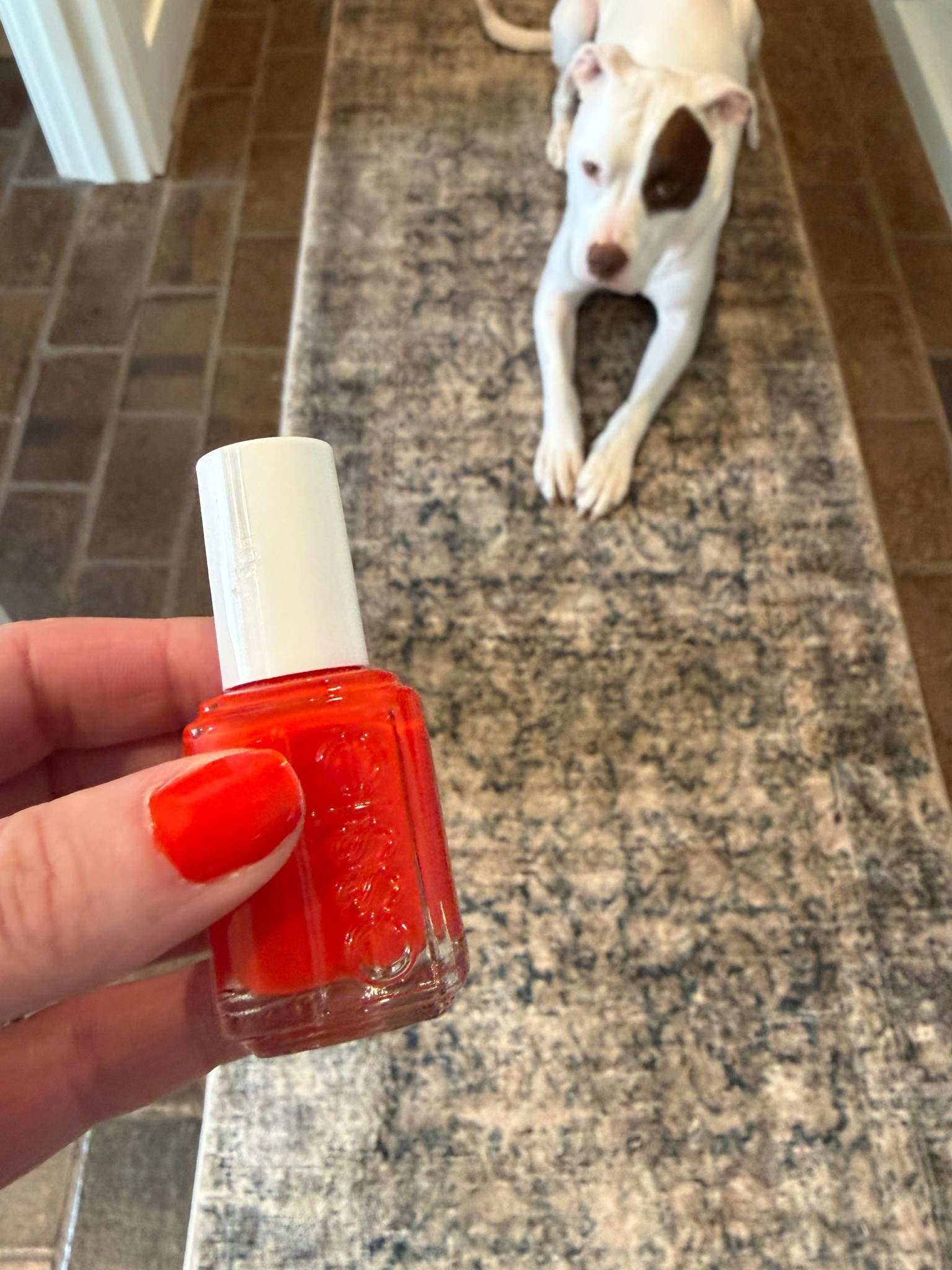 Red with a hint of orange nail polish colors are my favorite for spring and summer! #Essiepolish #rednailpolish #summernails

#LTKdayinmylife #LTKgrwm #LTKselfcare