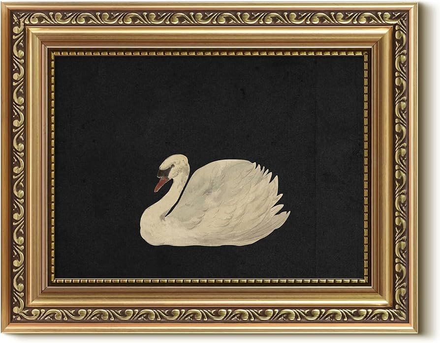 VIYYIEA Gold Framed Wall Art, Grace Swan Canvas Print Home Decor Vintage Art Painting Picture Bat... | Amazon (US)