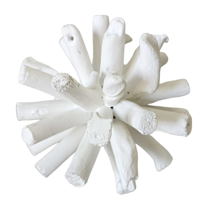 Driftwood Decor, 6" | At Home