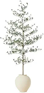 Artificial Black Olive Tree 6ft - Shady Lady UV Resistant Faux Olive Trees Indoor Outdoor Decor -... | Amazon (US)