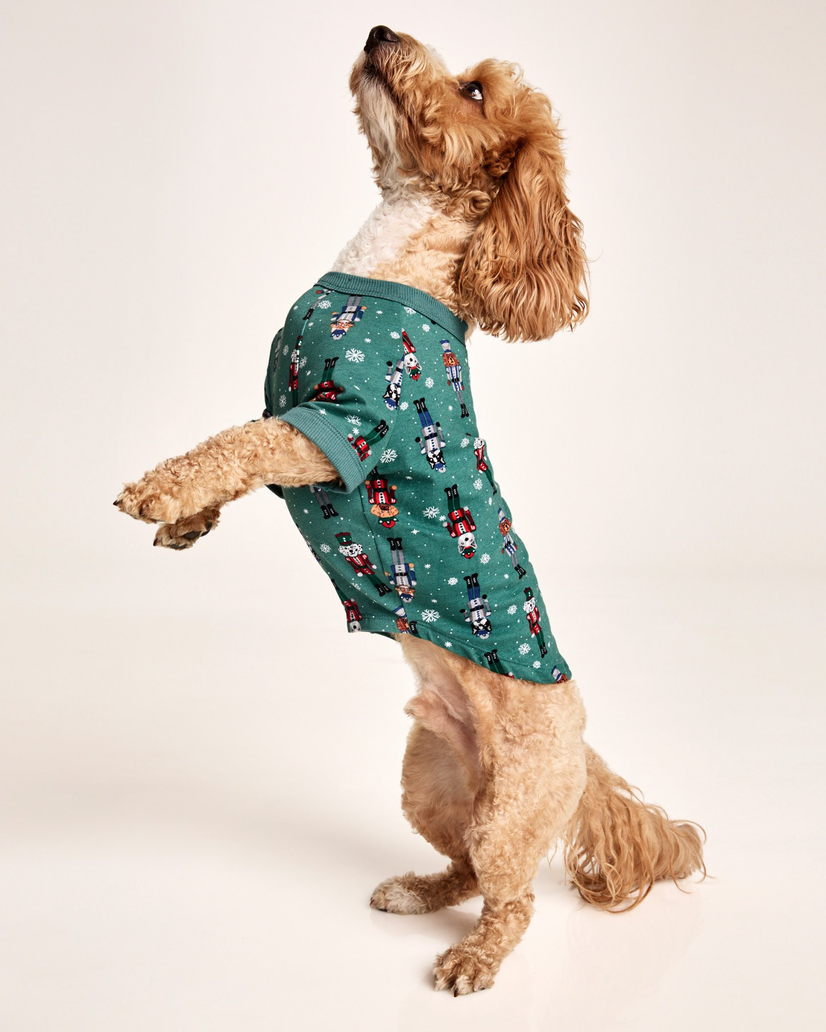 Fam Jams Pet Pajamas | Jockey