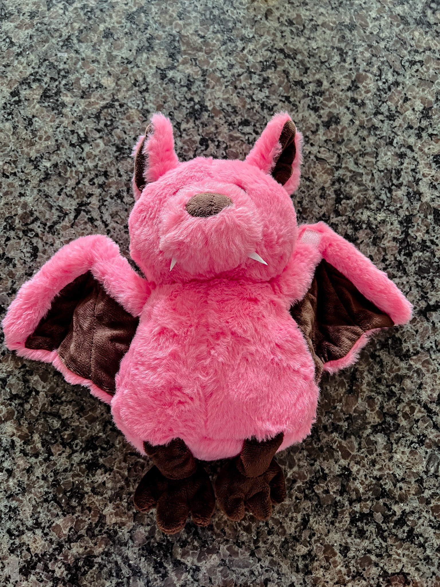 Freaking bats 🦇 

#LTKSeasonal #LTKkids #LTKbaby