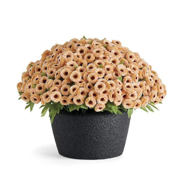 Mum Urn Filler | Grandin Road | Grandin Road