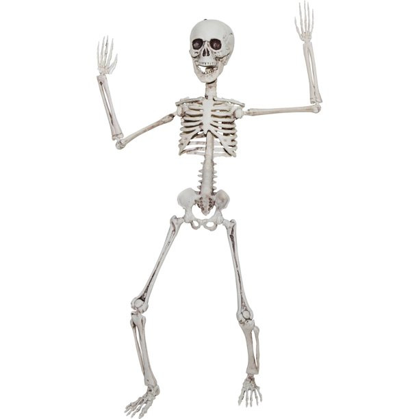Poseable Skeleton 20in Halloween Decoration | Walmart (US)