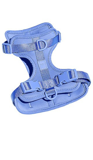 Wild One Harness in Blue. | Revolve Clothing (Global)