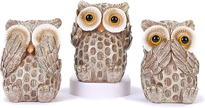 FriyGardcn Set of 3 Owl Statues Home Décor, Cute Owl Figurines for Shelf, Living Room Bedroom Of... | Amazon (US)