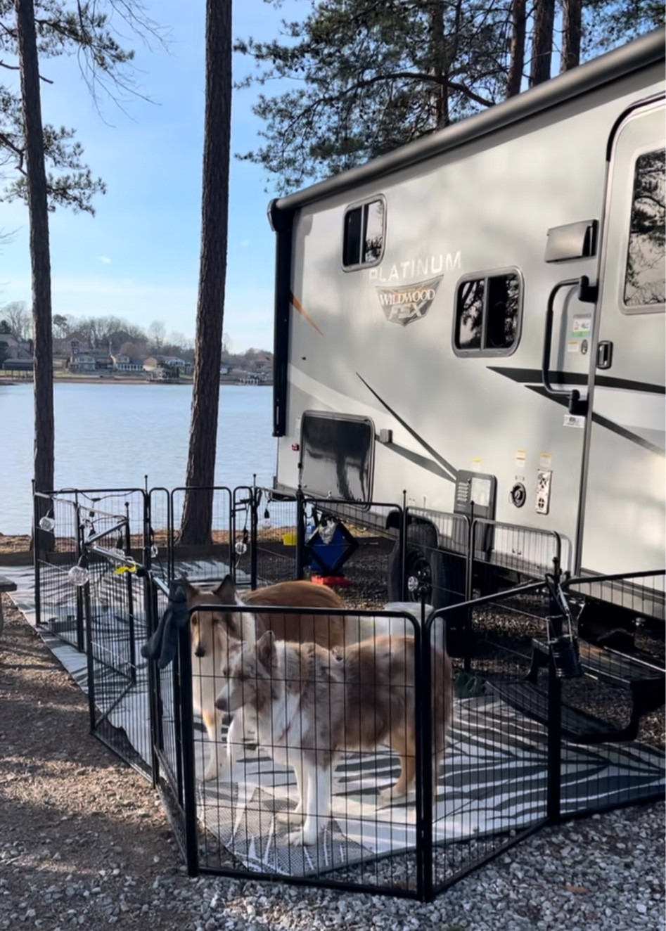 RV Dog Fence/Can use for toddlers is a lifesaver 

#LTKTravel #LTKActive #LTKFamily