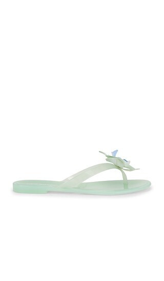 Steve Madden Poppyseed Flip Flops in Mint. | Revolve Clothing (Global)