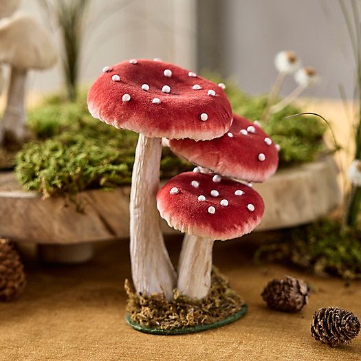 Velvet Mushrooms, Set of 3 Small | Terrain