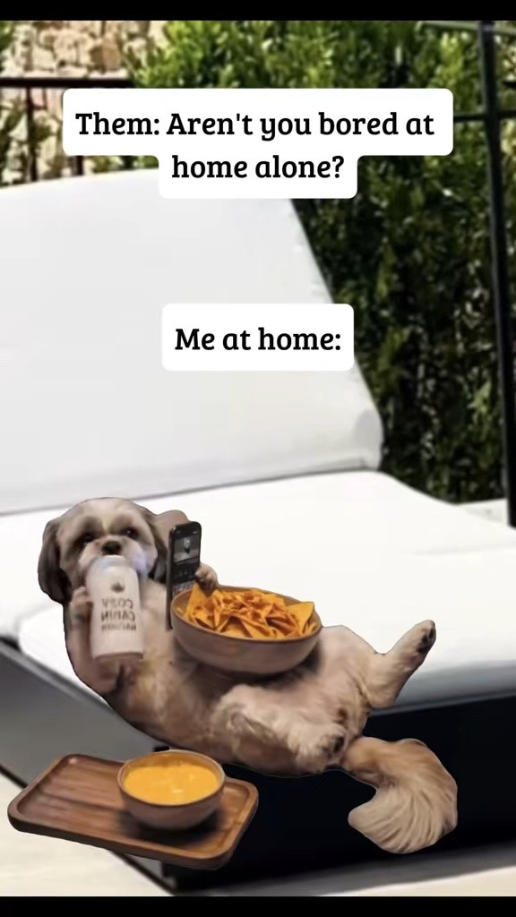 … that about sums it up .. 😳🤣