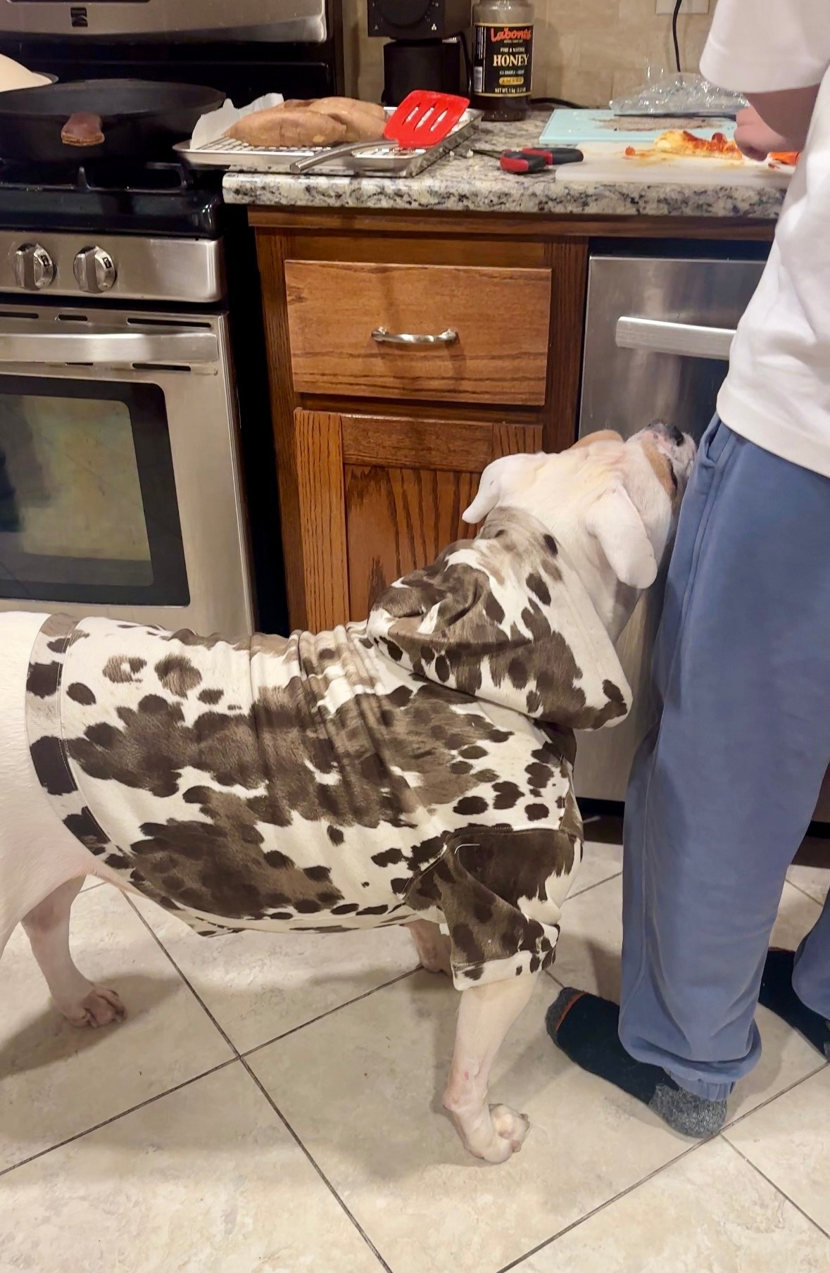 Recently loving matching outfits with my dog. 😆💕🐶

#dog #hoodies #ltkfamily

#LTKHoliday #LTKGiftGuide #LTKSaleAlert