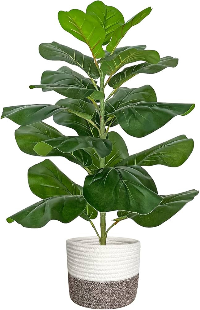 BESAMENATURE Artificial Fiddle Leaf Fig Tree/Faux Ficus Lyrata for Home Office Decoration, 30.5" ... | Amazon (US)