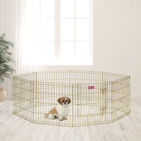 MidWest Wire Dog Exercise Pen with Step-Thru Door, Gold Zinc, 24-in | Chewy.com