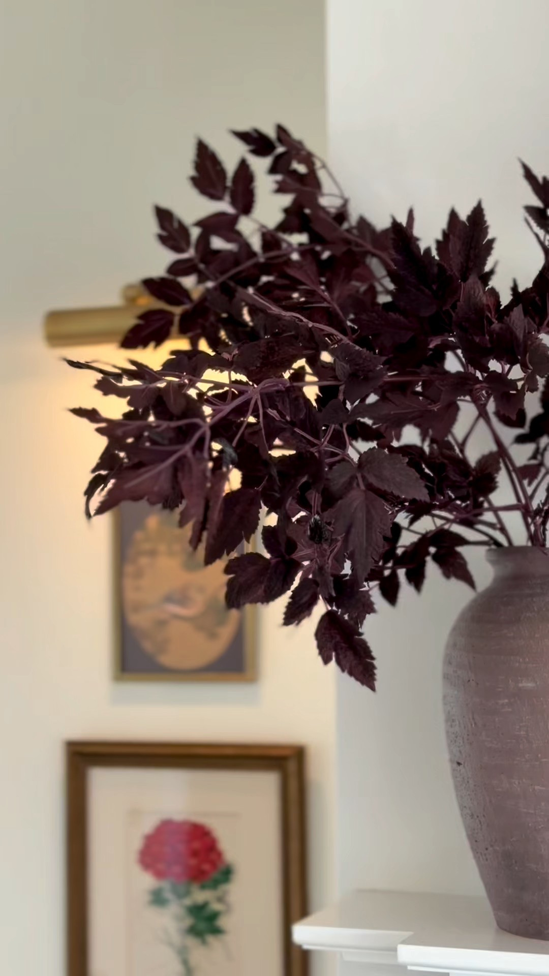 When the temp drops below 60.. the stems come out!

#LTKHome #LTKSeasonal #LTKFindsUnder50