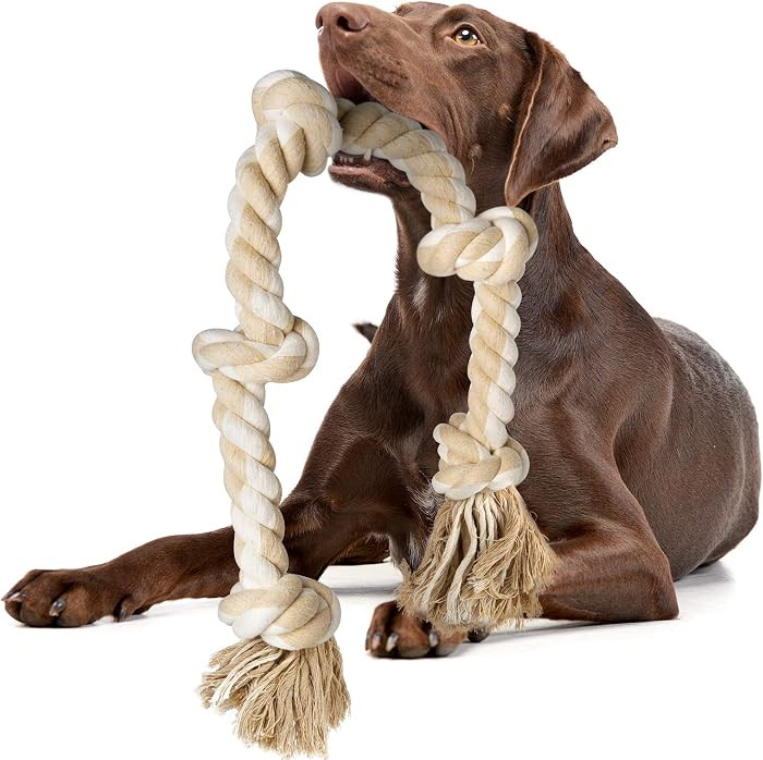 Fida Dog Rope Toys for Aggressive Chewers, Chew Toys for Large Medium Dogs | Amazon (US)