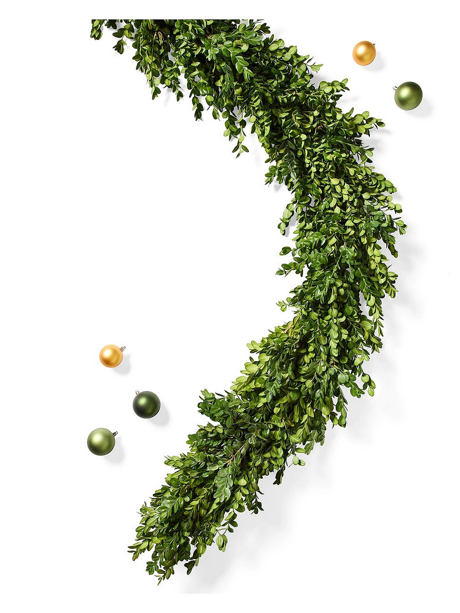Fresh Boxwood Garland | Serena and Lily