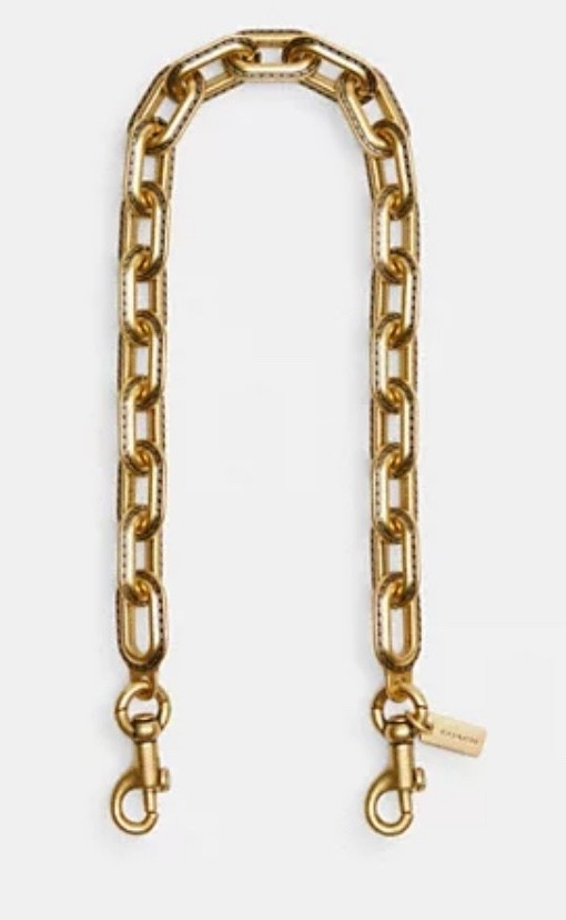 Gold bag chain #coach #bagchain 

#LTKStyleTip #LTKItBag
