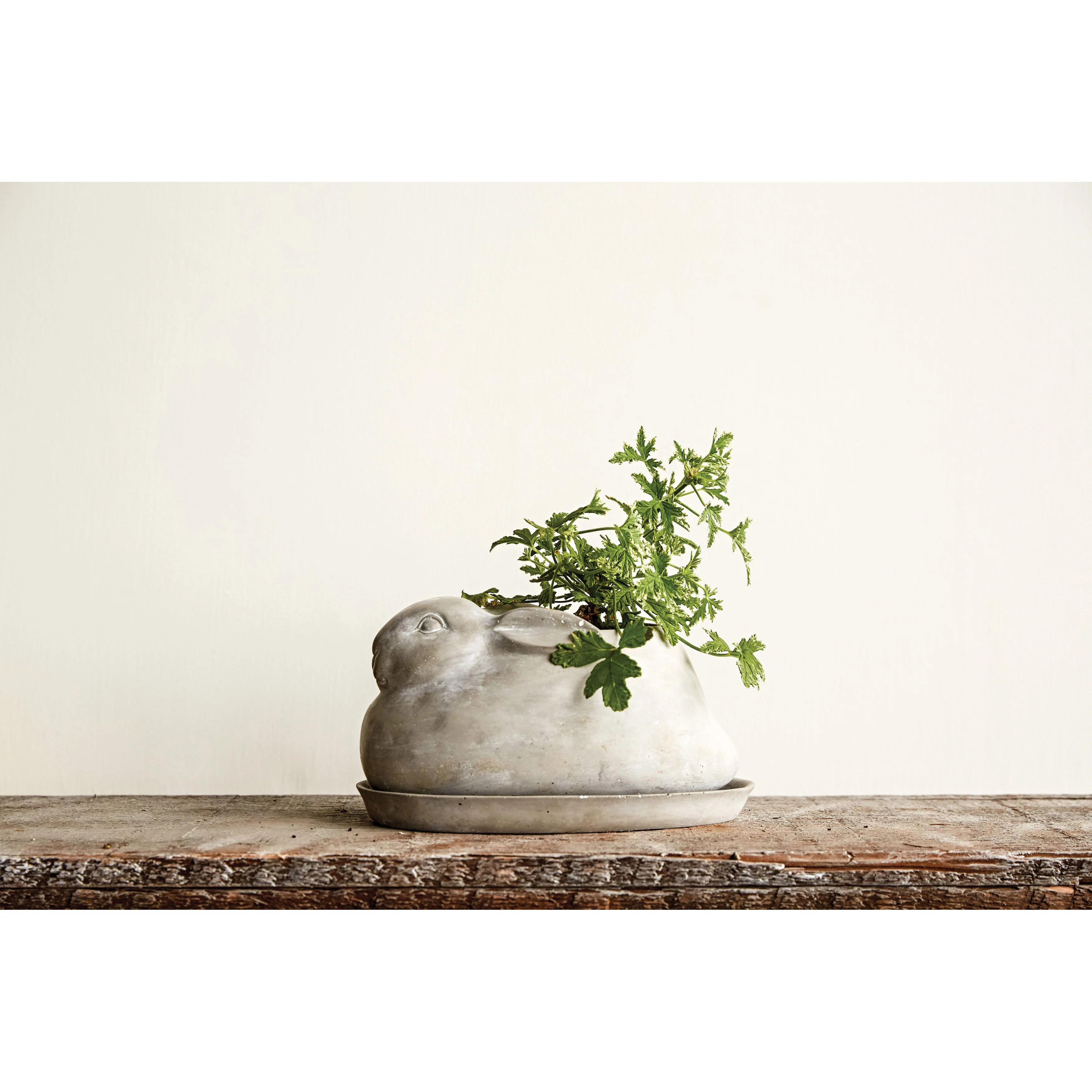 Cement Rabbit Planter with Saucer Set | Wayfair North America