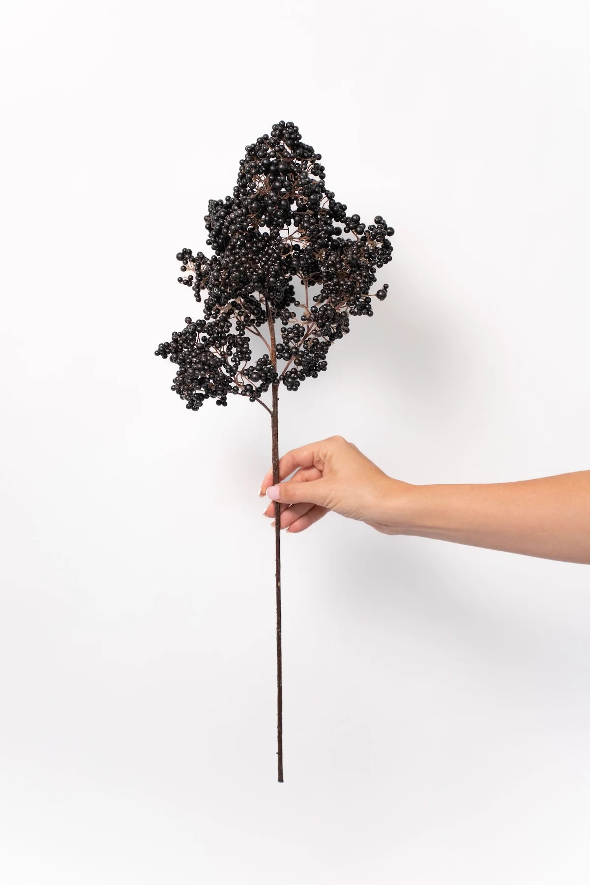 Berry Stem - 24" | THELIFESTYLEDCO