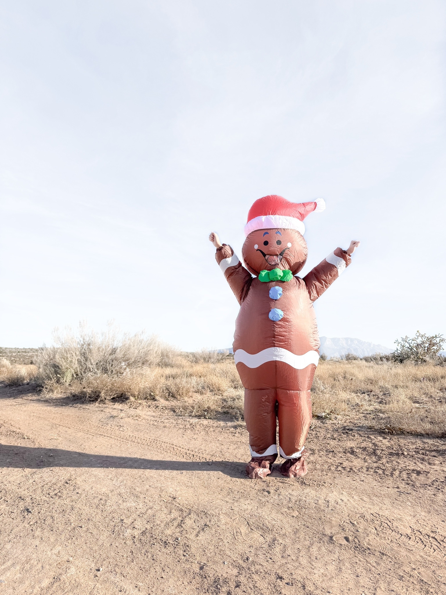 You can’t catch me, I’m the Gingerbread girl 🎀

#LTKHoliday #LTKGiftGuide #LTKSeasonal