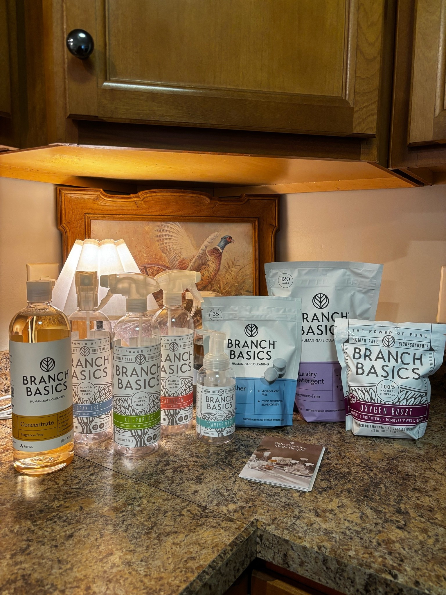Thank you @Branch Basics !! Code RLE10 will save you some money at checkout!!

#LTKdayinmylife #LTKSaleAlert #LTKHome