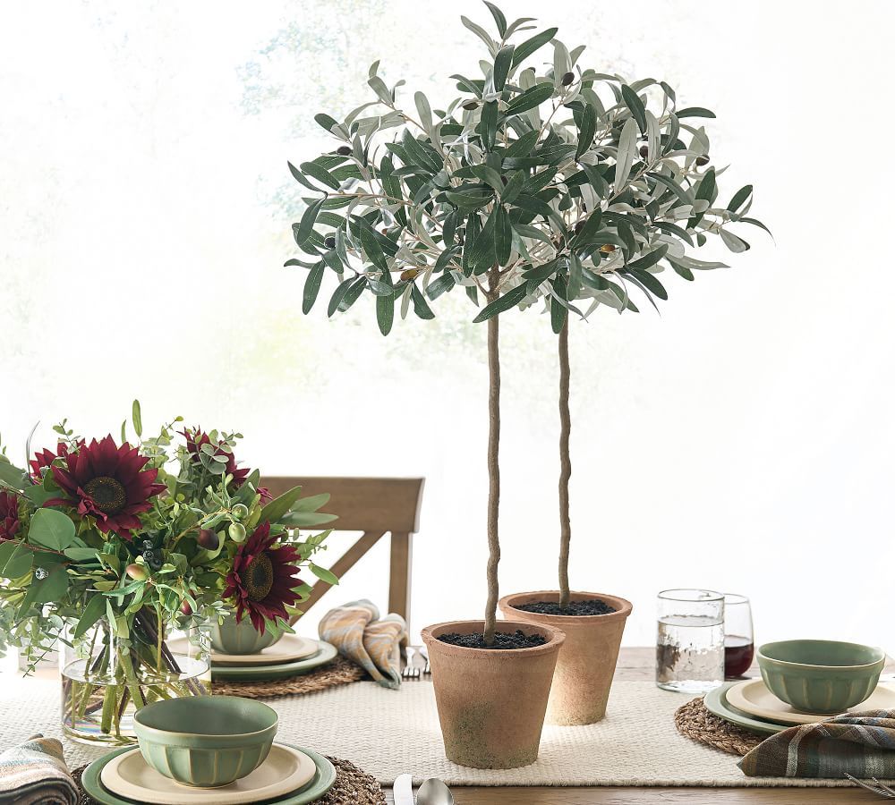 Potted Olive Tree, Tall, Green | Pottery Barn (US)