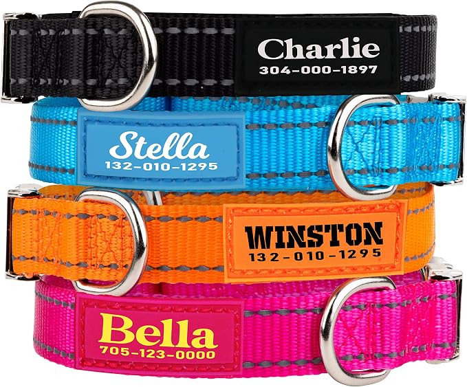 PAWBLEFY Personalized Dog Collars - Reflective Nylon Collar Customized with Name and Phone Number... | Amazon (US)