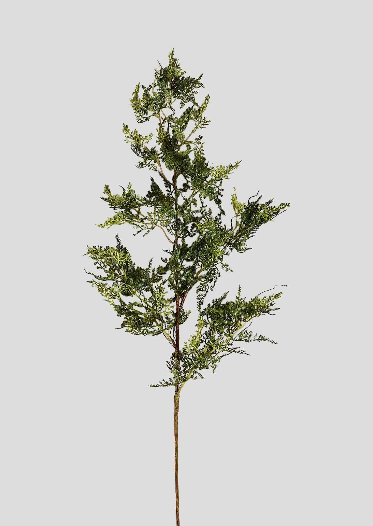 Artificial Baby's Tears Fern Branch - 36" | Afloral