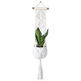 Macrame Wall Plant Hanger Handmade Pot Holder Boho Hanging Planter Plant Stand Living Nursery Home D | Amazon (US)