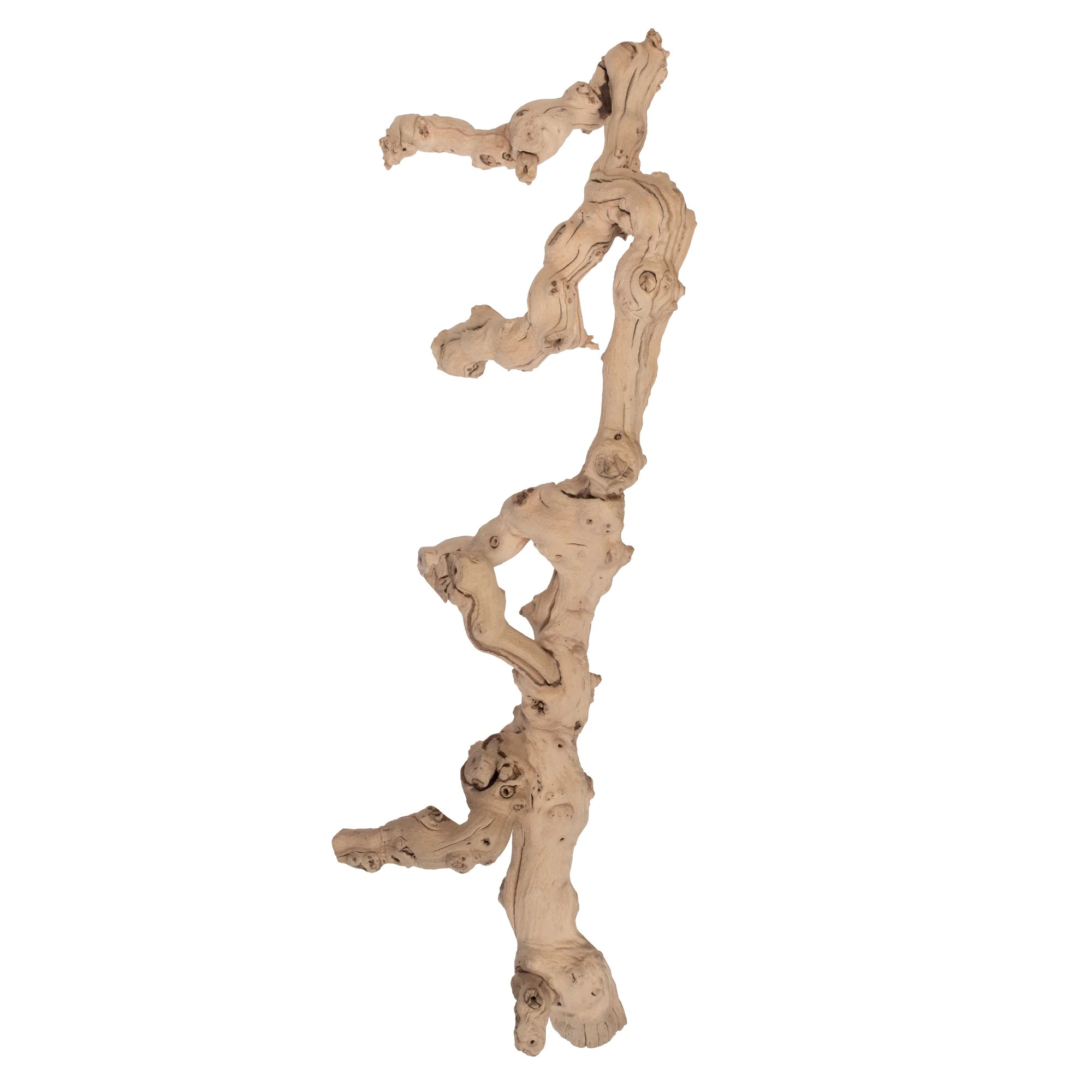 Vickerman Grapewood Sand Blasted Branch 24", Dried | Walmart (US)