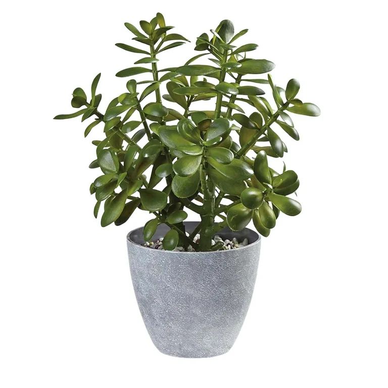 Westcharm 16 inch Tall Potted Faux Jade Plant Tabletop Greenery | Artificial Green Crassula Ovata... | Walmart (US)