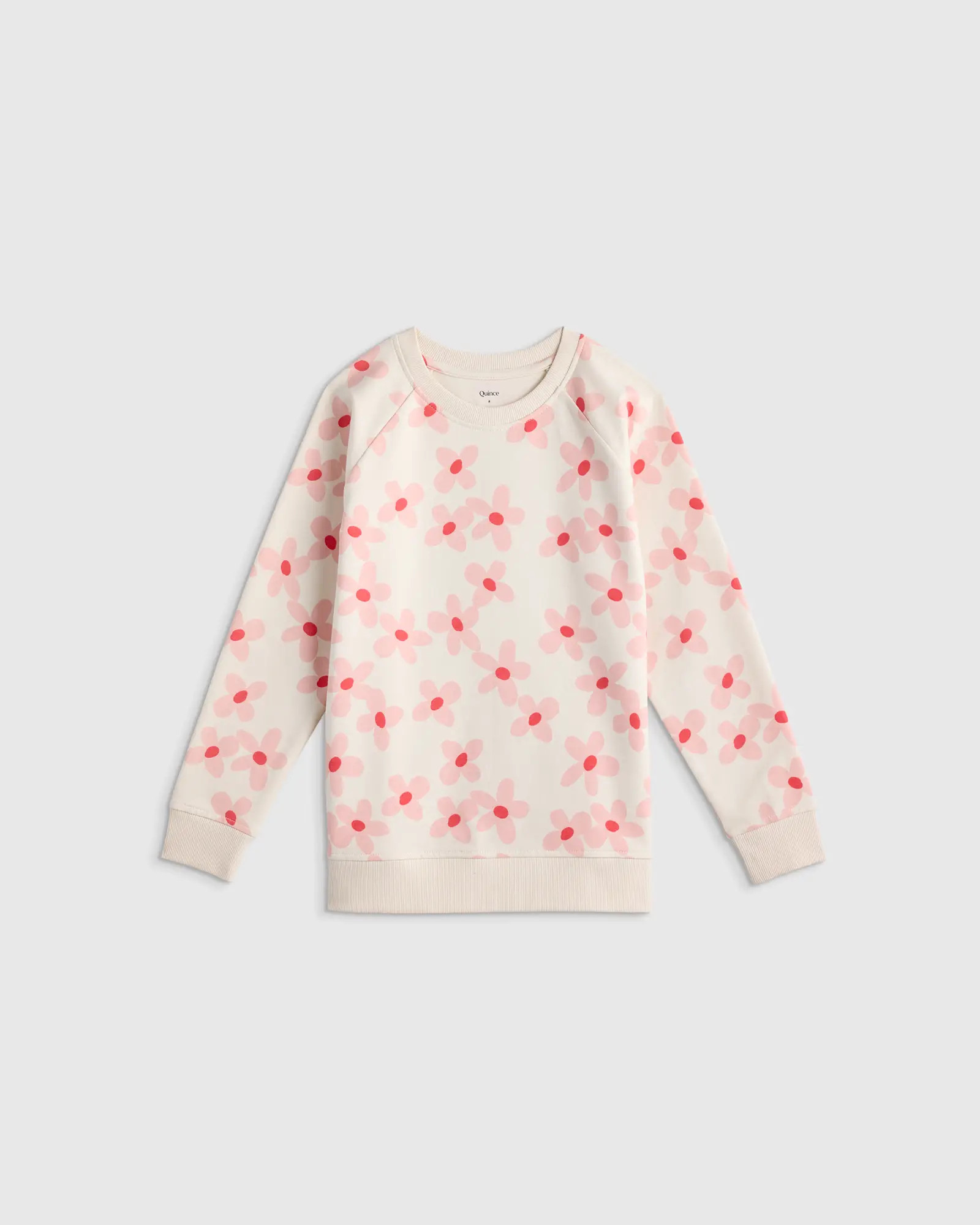 Organic Cotton French Terry Crew Neck Sweatshirt - Toddler in Blue Stars | Quince
