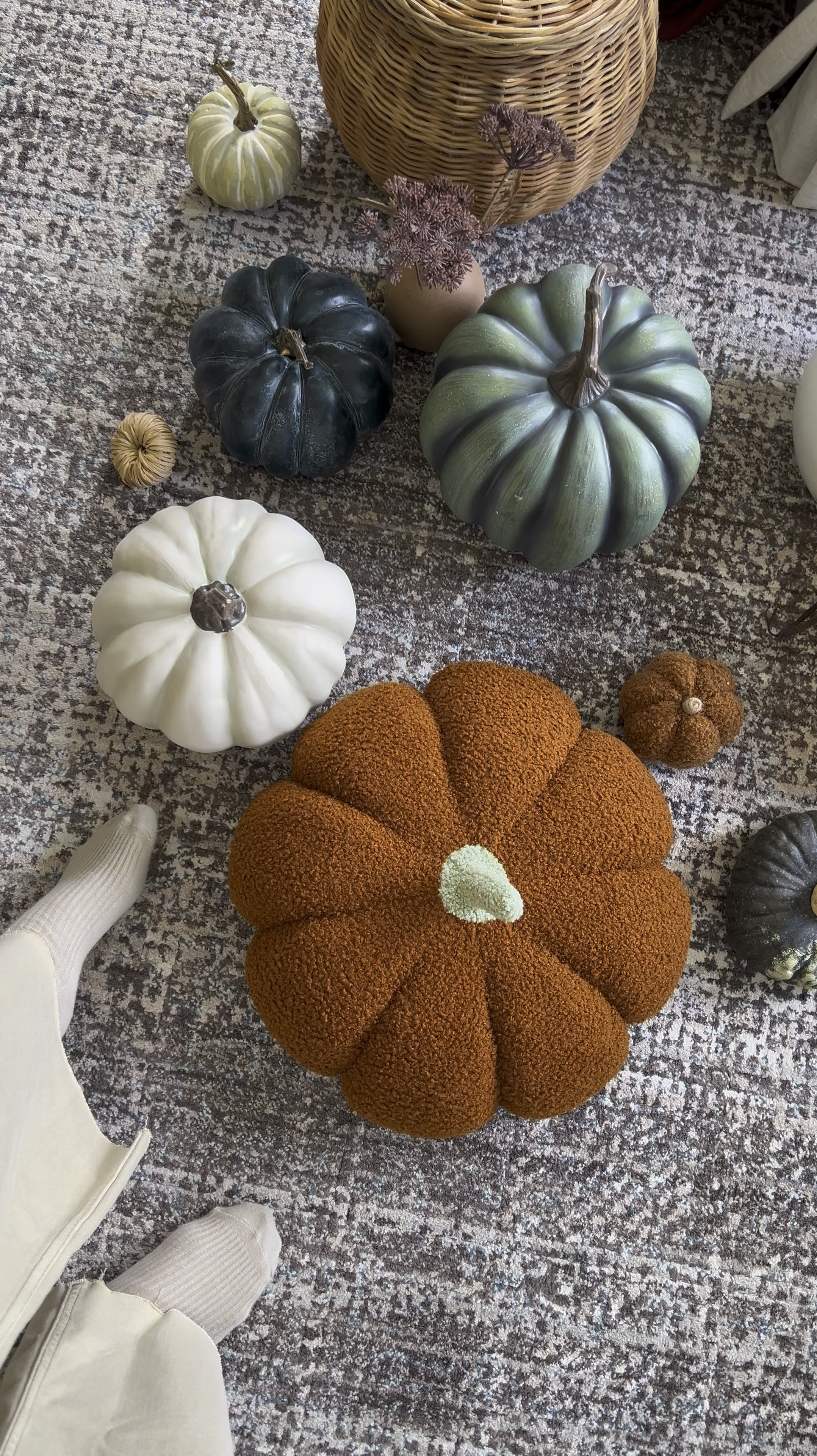 Pumpkin collection 

#LTKHome #LTKSeasonal