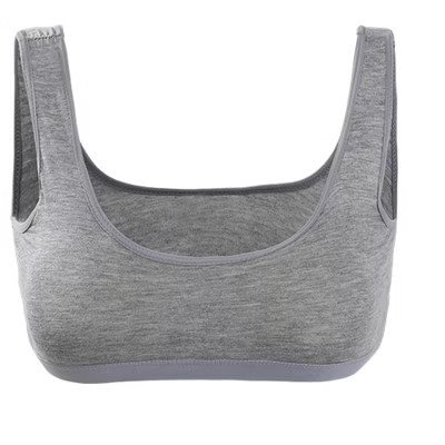 INSPIRE CHIC Women's Wire Free Removable Pad Wide Straps Bra One Size Gray | Target
