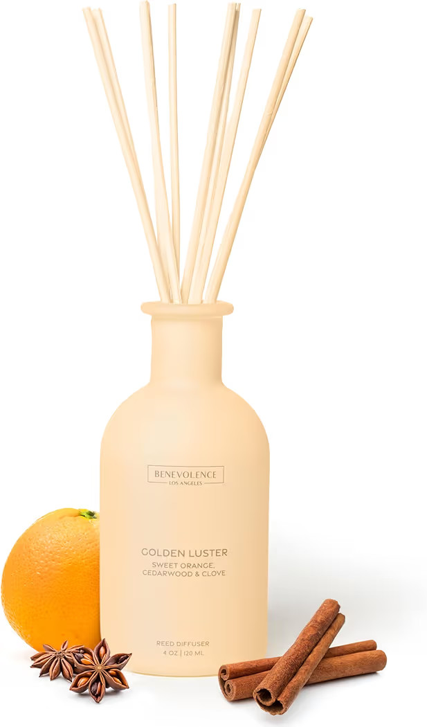 Benevolence LA Reed Diffuser - Orange, Cedarwood & Clove | Fall Home Fragrance Diffuser for Home ... | Amazon (US)
