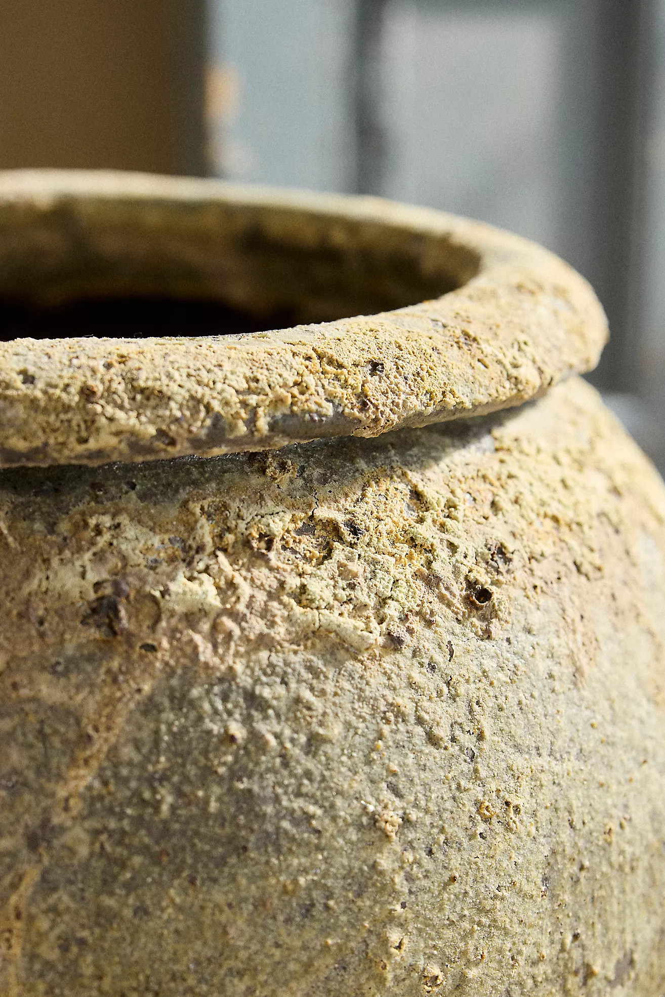 Barnacle Water Jar Planter | Anthropologie (US)