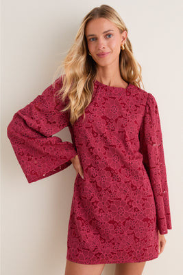 Burnt Red Lace Livvy Mini Dress | Tuckernuck (US)
