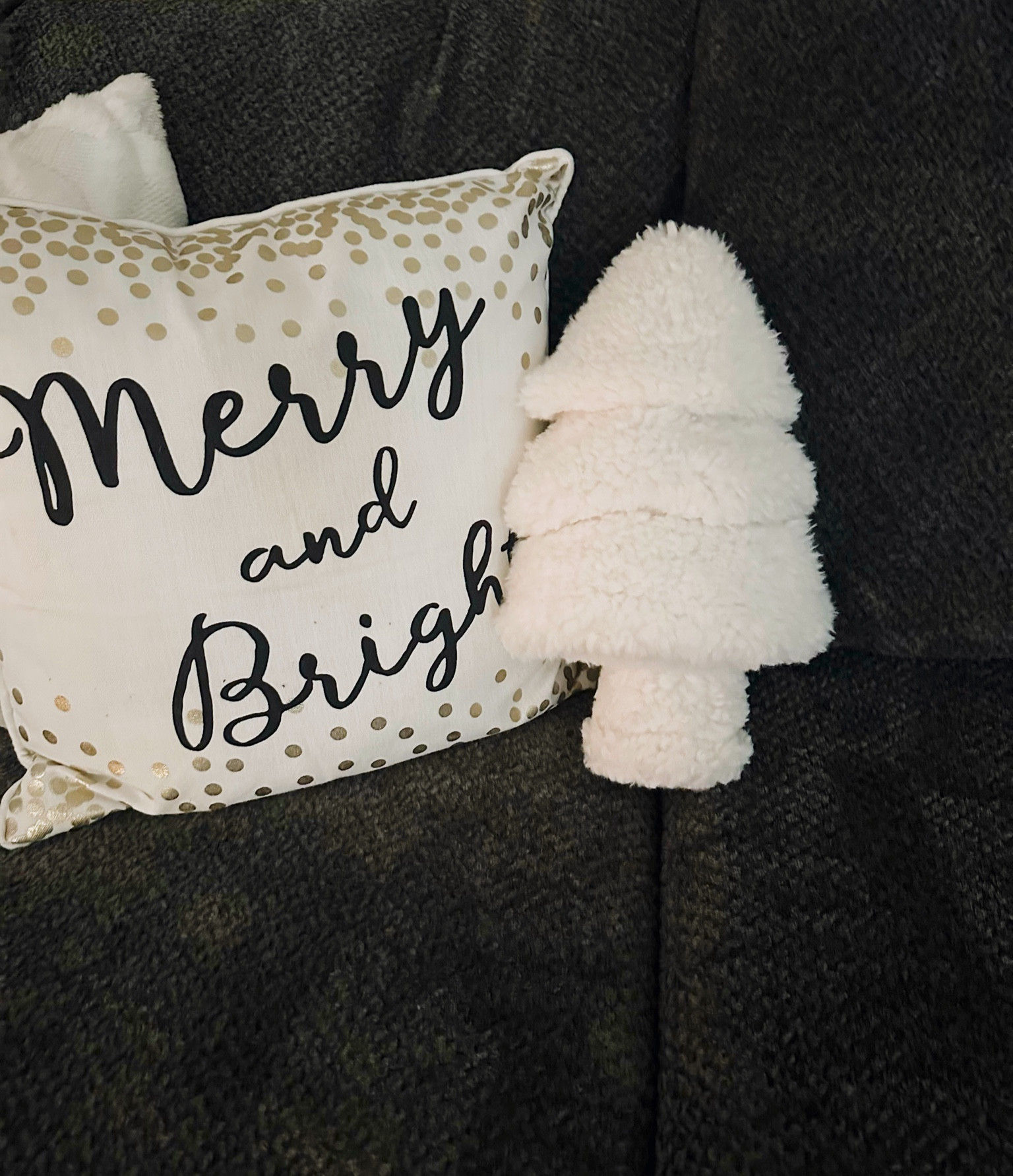 These Sherpa trees from Target are perfection 😍 

Target, Sherpa, trees, tree pillow, christmas, pillows, couch 

#LTKSeasonal #LTKHoliday #LTKunder50