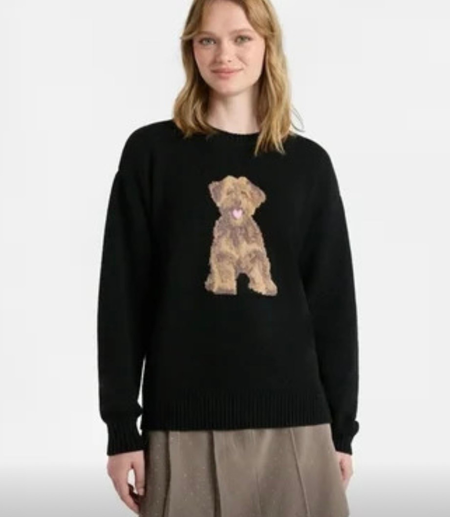 Fashion Icon Sweater where the graphics pop and style stands out. Crafted in a soft and stretchy polyester-blend this midweight sweater offers a smooth feel that moves with you and a classic crewneck that completes the look.

#LTKFindsUnder50 #LTKMidsize #LTKootd