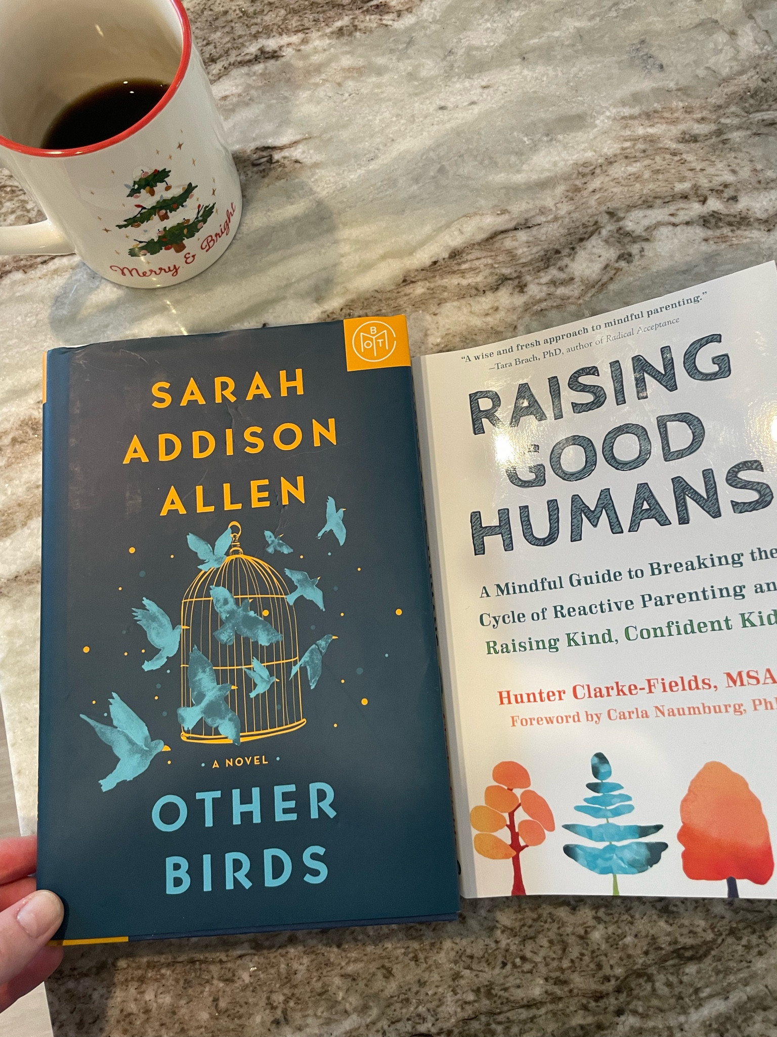 Here is what I’m currently reading! I love to have a “fun” book and a book that is a bit more thought provoking at the same time. What are you currently reading?
Books / currently reading 

#LTKfamily #LTKfindsunder50 #LTKbaby