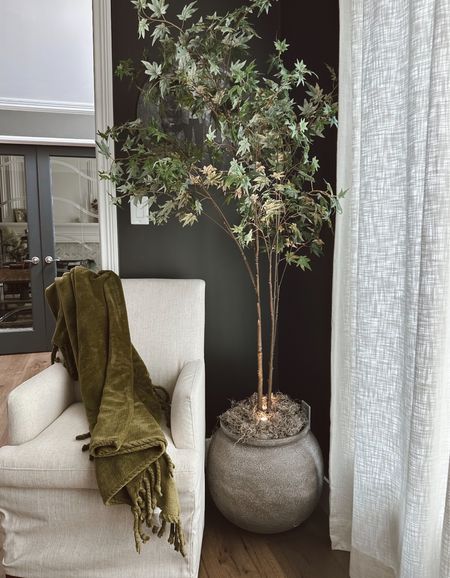 Home decor🖤

Olive tree 
Vase 
White chair 
Throw blanket 


#LTKstyletip #LTKfindsunder100 #LTKhome