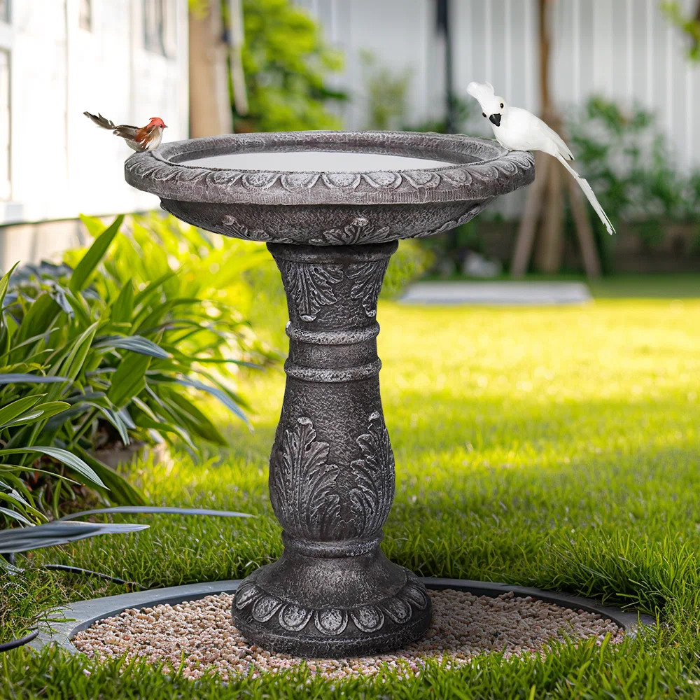 Vintage Carved Pedestal Outdoor Bird Bath | Wayfair North America