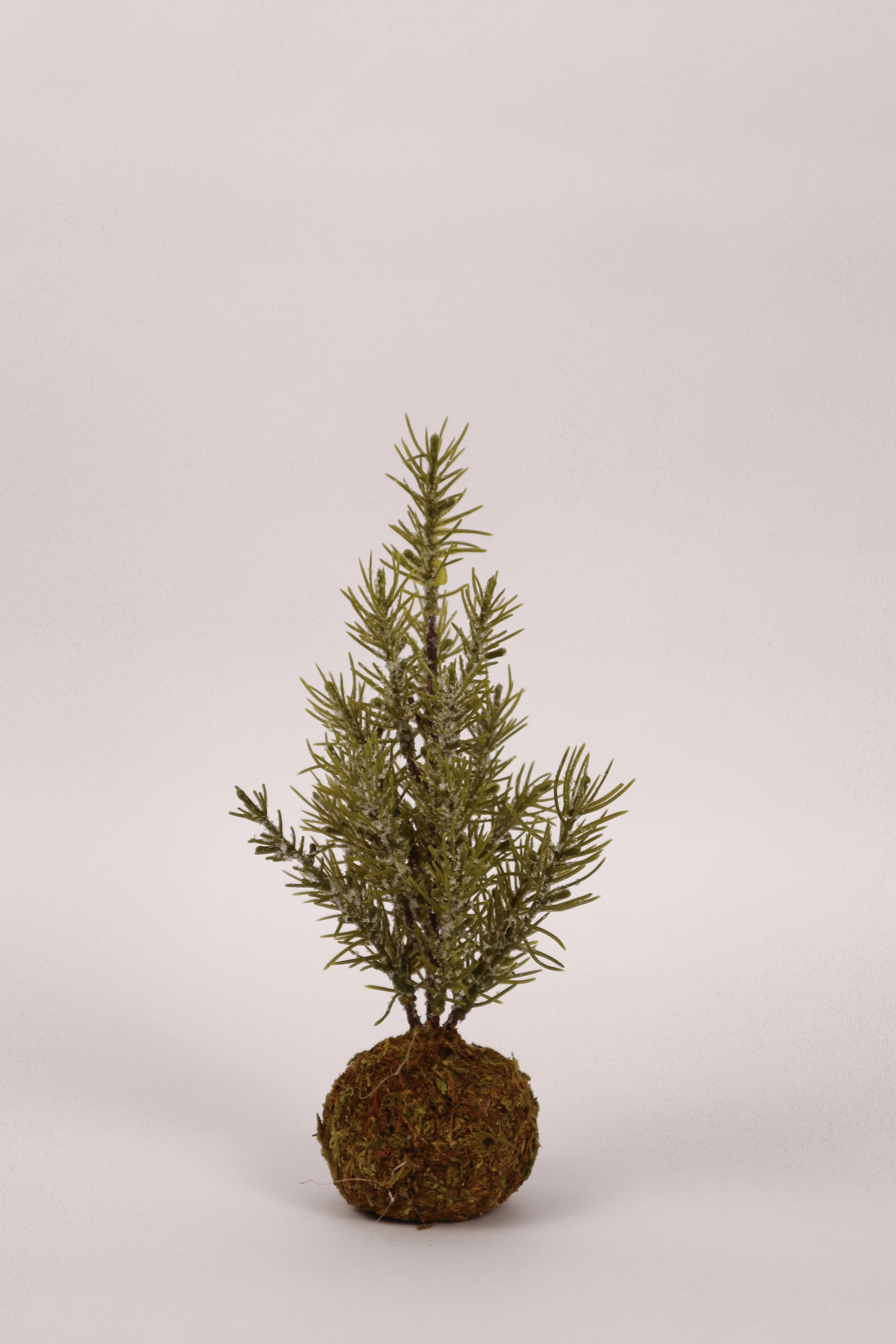 Mini Pine Tree with Moss Base | THELIFESTYLEDCO